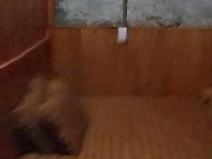 Triệu hoan homestay nhà sàn cổ tại làng đá cổ Khuổi ky