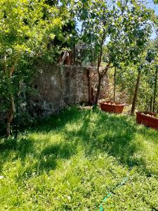 Splendida villetta con giardino