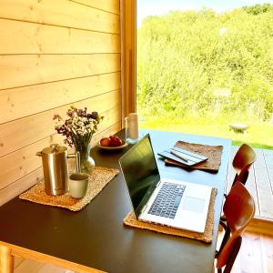 Tiny House an der Elbe mit Blick ins Grüne 208
