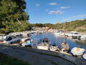 Casa Joy by Holiday World img35