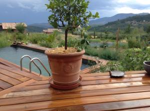 Maisons de vacances Eco Gite : photos des chambres