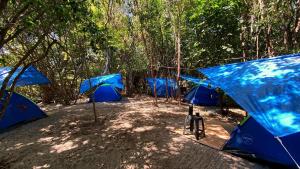 GaiaPipa ComunidArte - Strutture non classificate a Pipa