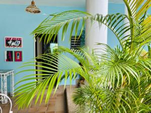 Casa rodeada de naturaleza en Club Puerto Peñalisa