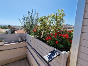 Sunshine Terrace img40