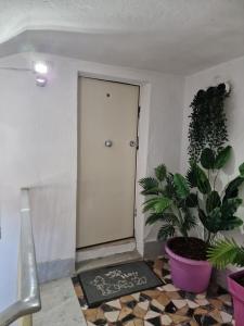 Sunshine Terrace img28