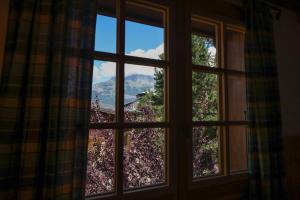 Chalets Chalet Belle-Sofianna : Chalet