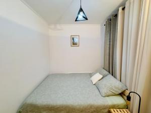 Peaceful Oasis in Calafat