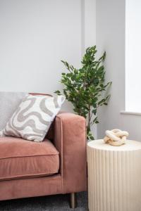 Vacant Nests The Darwin Grove Stylish Wifi