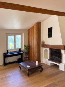 Double Family Villa12 people with Pool near Cannes