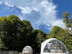 Nikorstminda glamping - Batonis forest