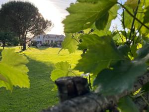 B&B / Chambres d'hotes Maison Aubergerac : photos des chambres