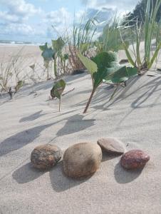 APART PARK -Lividus112