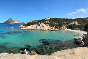 Endless Summer Apartment