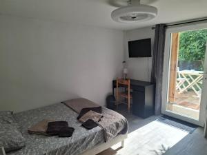 Appartements Charmant studio RDC avec terrasse, parking & cuisine equipee : photos des chambres