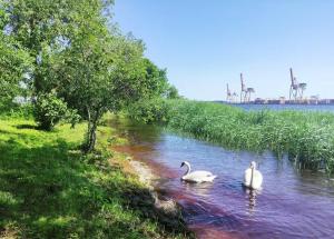 Minimalist riverside hideout