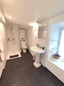 Appartements Le Duplex by Le Prince : photos des chambres