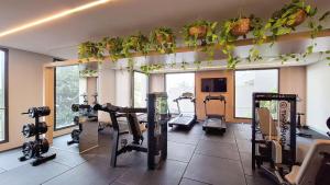 Lira Perdizes by Conviva