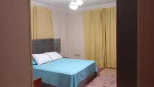 Fully Brand New Furnished Apartment