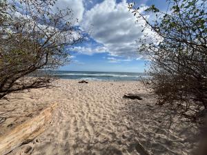 Contenedor Santa Cruz en Guanacaste piscina
