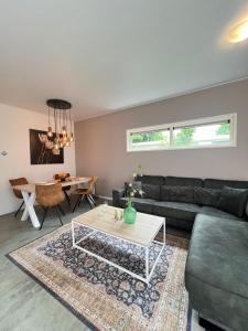 Lakeside Retreat at Veluwe