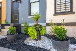 The Baymiller Row - For 6