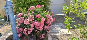 B&B / Chambres d'hotes lacelledor : photos des chambres