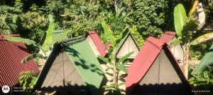 Cabanas Praia do Sono 1