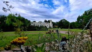 Zielona Paszkówka - sauna gratis!