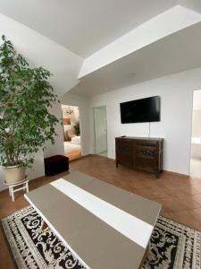 Privatus Apartamentai Akademijoje