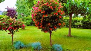 Seaside Boutique Villa Rosée - Beautiful Living