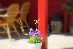 Vakantiewoning Hegga