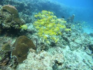 Alojamiento blue castle