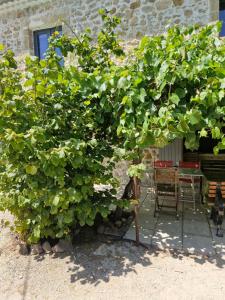 Grand mas provençal 3 chambres et 1 dortoir 7 pers, idéal familles groupes, fraîcheur dété