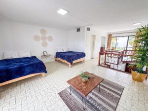 2 studios wterrace & pool in Cancún