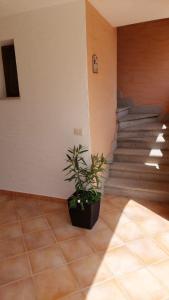 Il Sole & La Luna img5