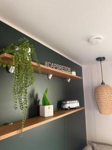 Appartements Mobil home B1Bis La Pointe LB : photos des chambres