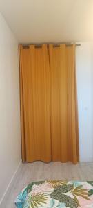 Appartement T2 style tropical tout confort CENTRE VILLE