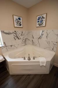 Mountain View Condo 1501