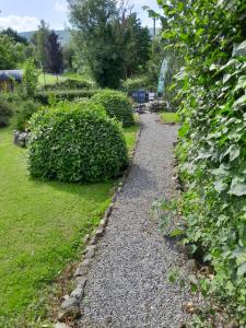 St Mullins Glamping Bell Tent