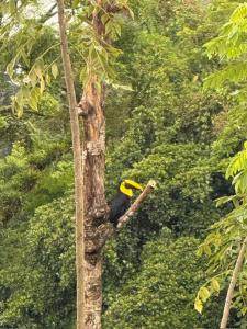 Cabaña con jacuzzi privado Lago de Sol