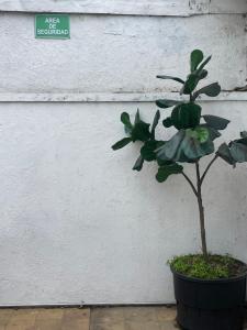 Habitación para 6 personas