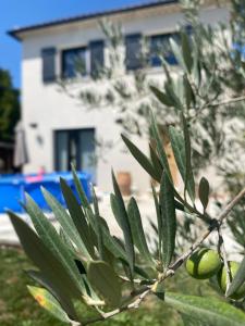 Villas La Petite Bastide en Provence : photos des chambres