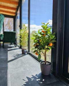 Sea view Anika by Vellaris, Luxury Mobile Home