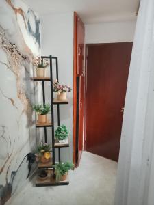 hostal amanecer costero