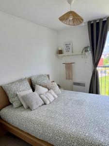 Appartement cosy - rénové et lumineux -