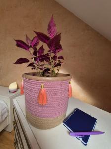Appartements Duplex lumineux cocooning proche de suisses : photos des chambres