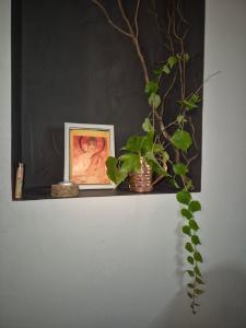 Appartements Duplex lumineux cocooning proche de suisses : photos des chambres