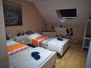 Appartements Duplex lumineux cocooning proche de suisses : photos des chambres