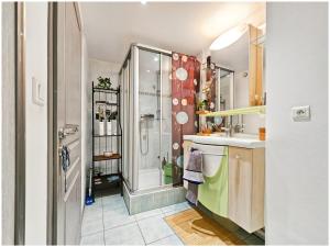 Appartements Duplex lumineux cocooning proche de suisses : photos des chambres