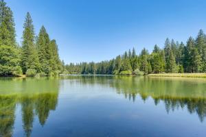 Private Lake Access Pet-Friendly Home in Arnold!